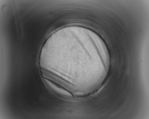 X0000087551521200705251730