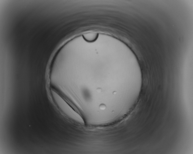 X0000087551522200705251730