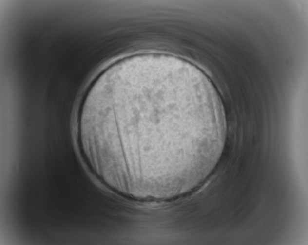 X0000087551523200705251730