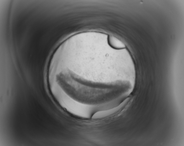 X0000087551525200705251730