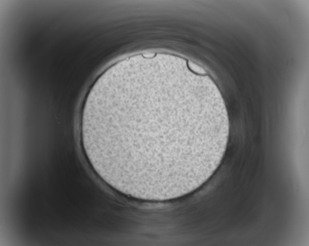 X0000087551526200705251730