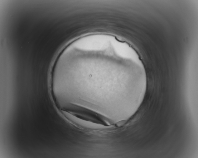 X0000087551527200705251730