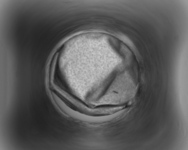 X0000087551528200705251730