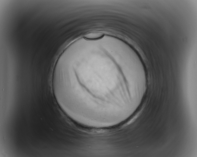 X0000087551529200705251730