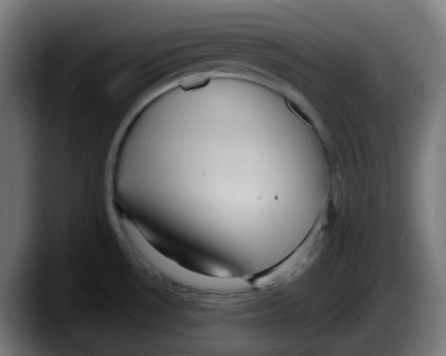 X0000087551530200705251730