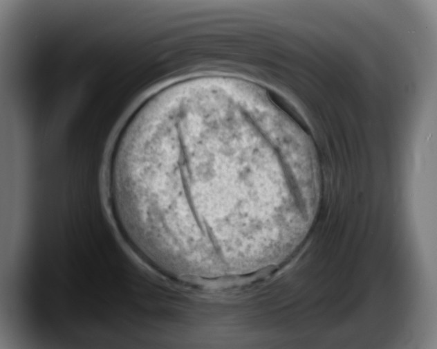 X0000087551531200705251730