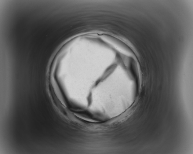 X0000087551532200705251730