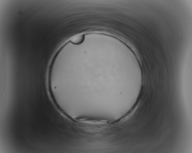 X0000087551533200705251730