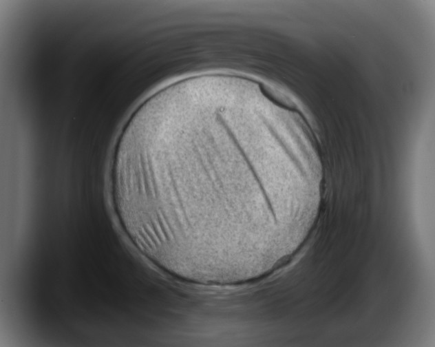 X0000087551534200705251730