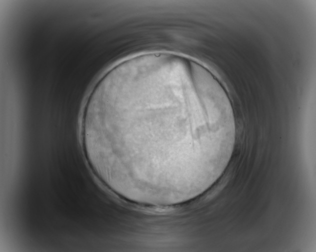 X0000087551535200705251730