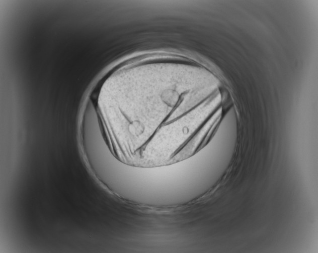 X0000087551536200705251730