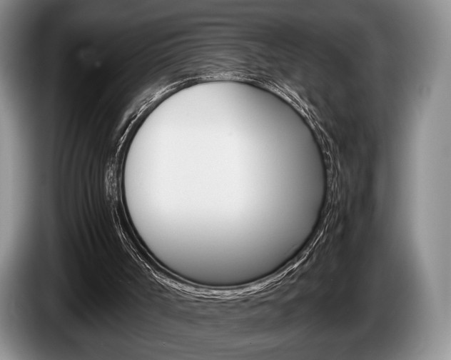 X0000087560002200704270934