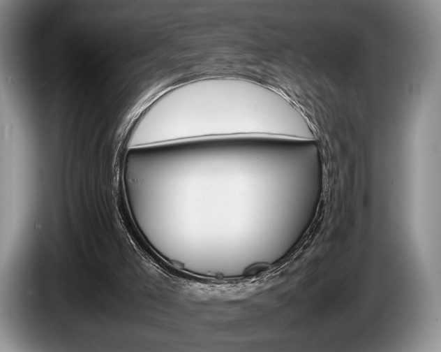 X0000087560005200704270934