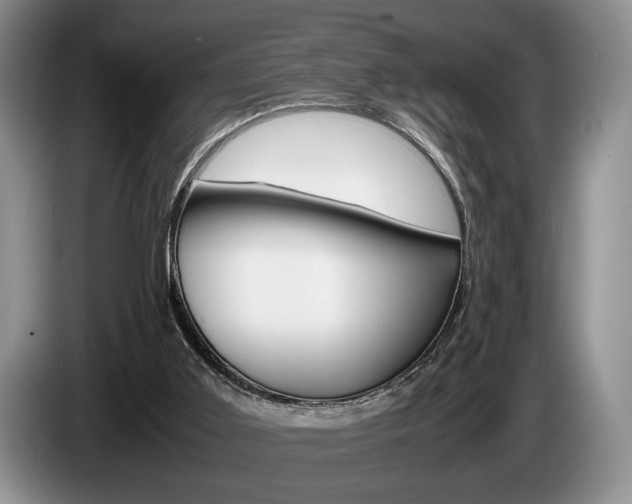 X0000087560011200704270934