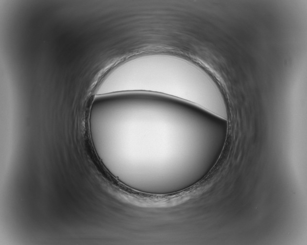 X0000087560015200704270934