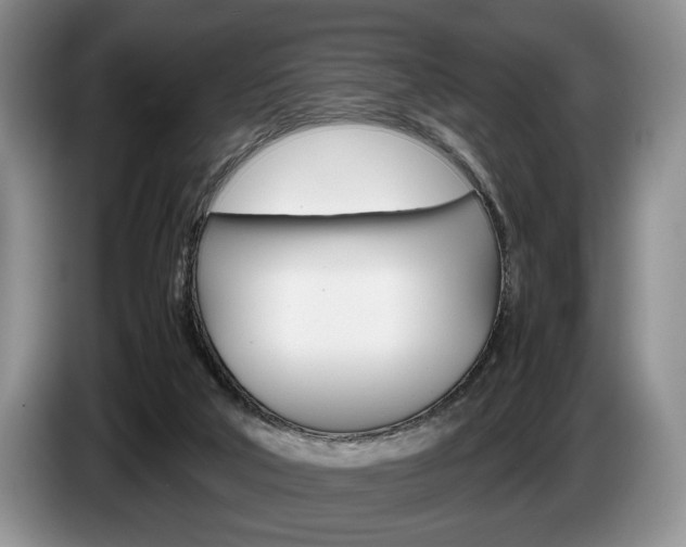X0000087560018200704270934