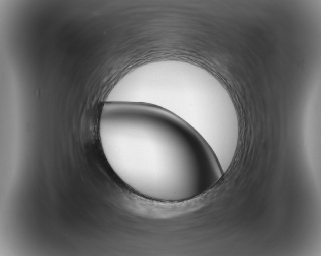 X0000087560039200704270933