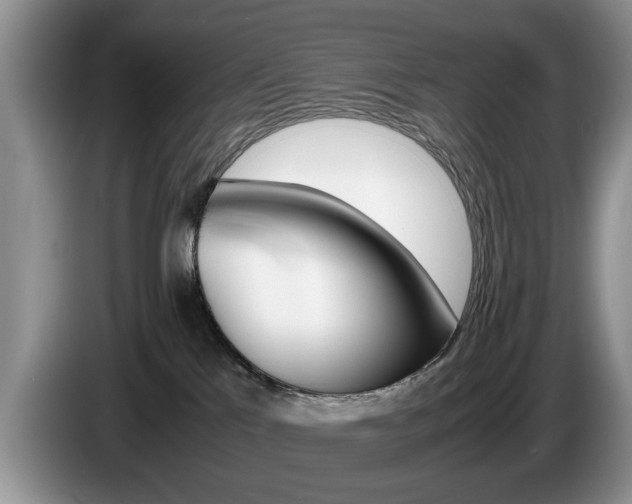 X0000087560041200704270933