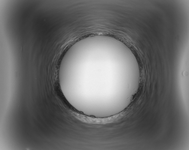 X0000087560043200704270933