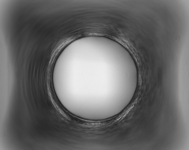 X0000087560049200704270933