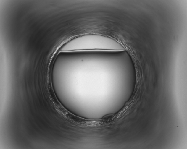 X0000087560050200704270933
