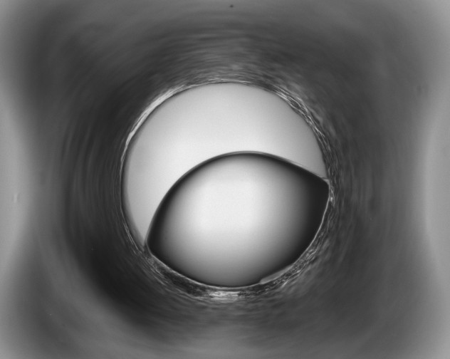 X0000087560052200704270933