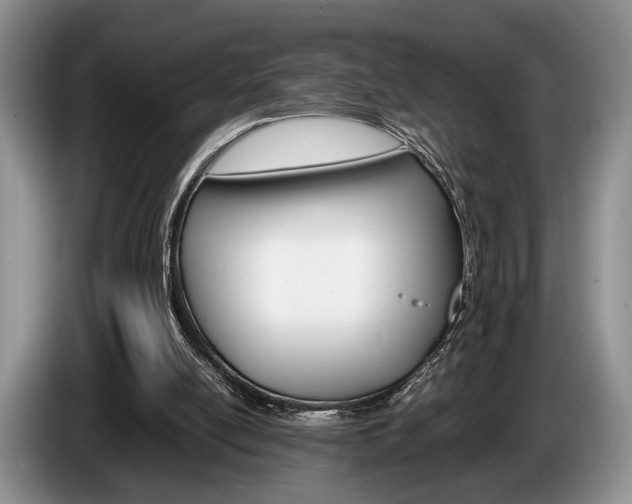 X0000087560054200704270933