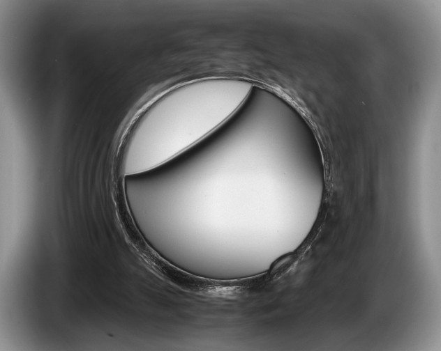 X0000087560055200704270933