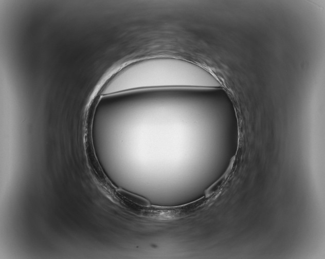 X0000087560056200704270933