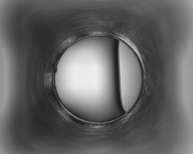 X0000087560057200704270933