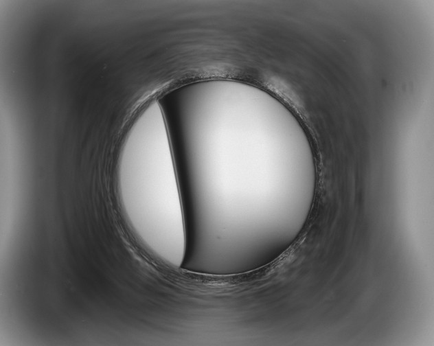 X0000087560058200704270933
