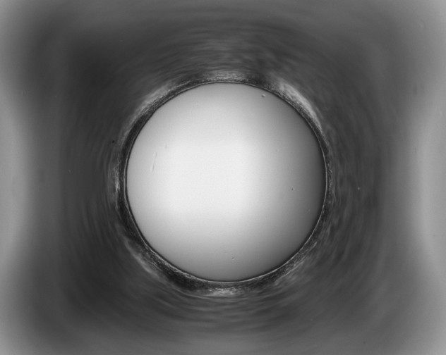 X0000087560059200704270933