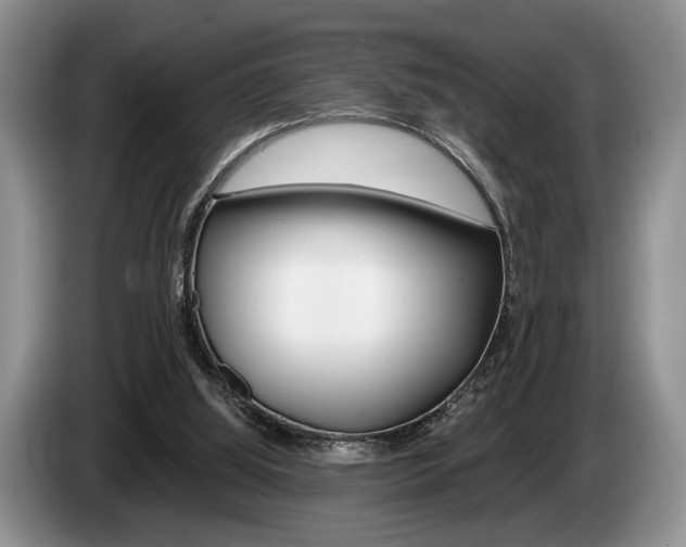 X0000087560060200704270933