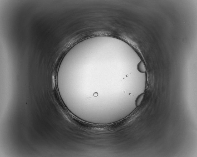 X0000087560061200704270933