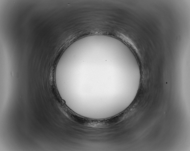 X0000087560065200704270933