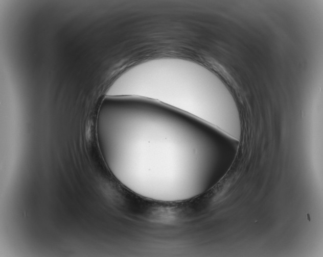 X0000087560071200704270933