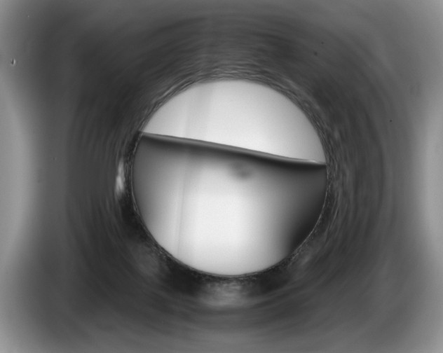 X0000087560075200704270933