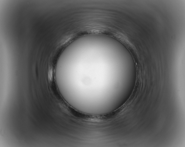 X0000087560076200704270933