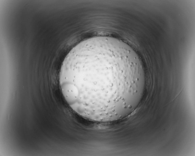X0000087560078200704270933