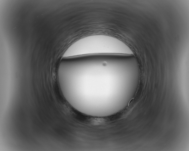 X0000087560085200704270933