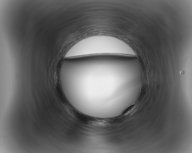 X0000087560086200704270933