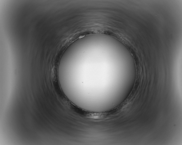 X0000087560088200704270933