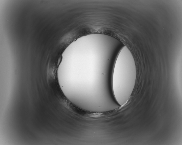 X0000087560090200704270933