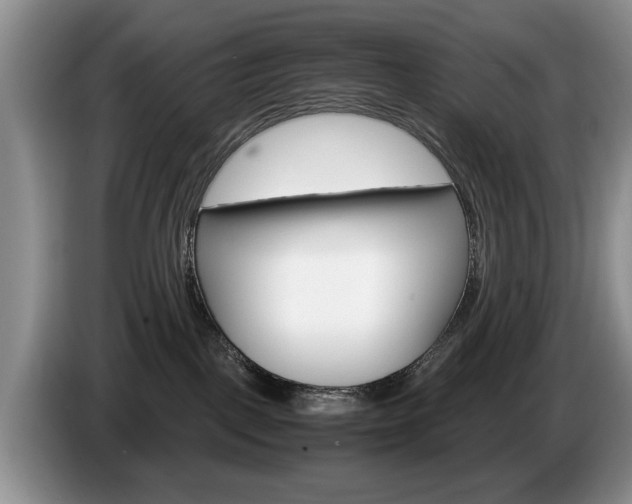 X0000087560093200704270933