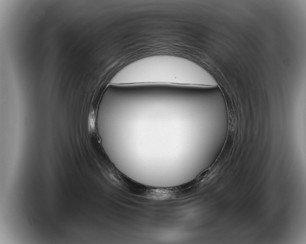X0000087560095200704270933