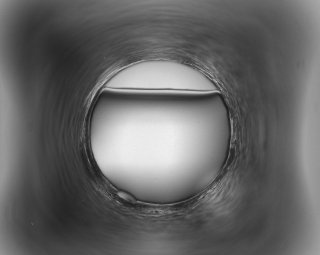 X0000087560099200704270933