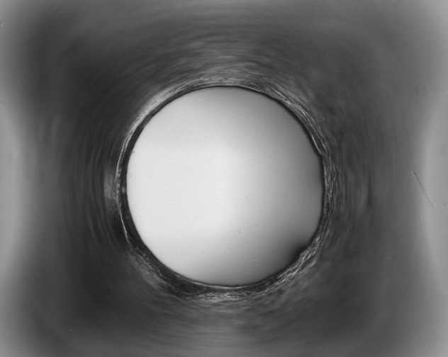 X0000087560100200704270933