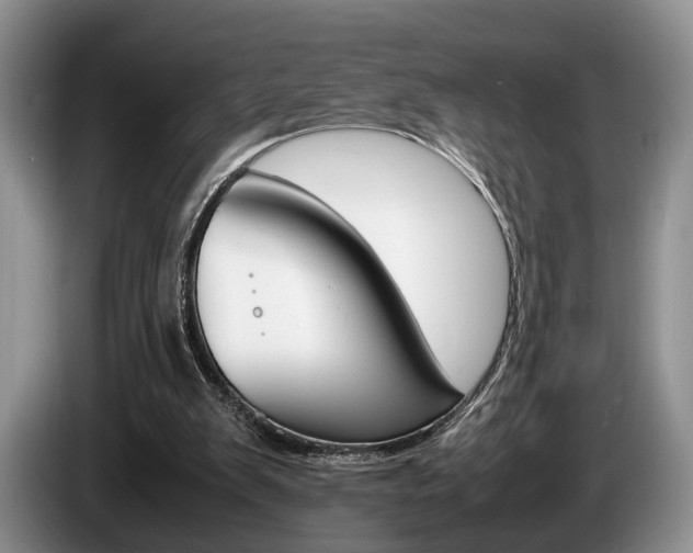 X0000087560103200704270933