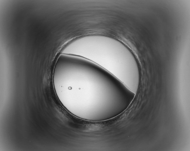 X0000087560107200704270933