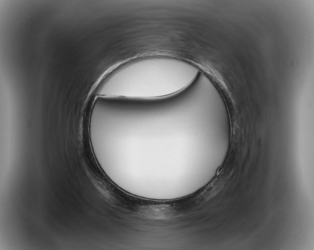 X0000087560108200704270933